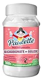Paulette - Bicarbonate de Soude - Nettoie en Douceur, Ravive les Couleurs, Neutralise les Mauvaises Odeurs - Authentique et Naturel, Ecocert - 500gr