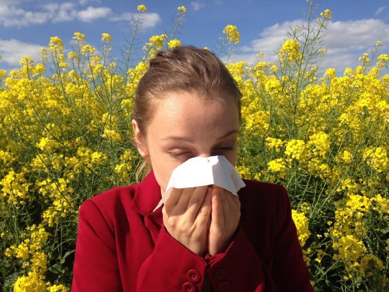Tout savoir sur l'allergie aux acariens