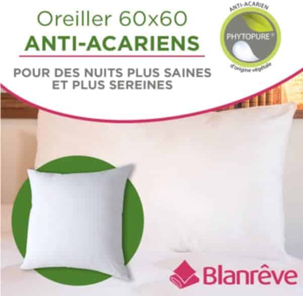 Oreiller ferme anti-acariens Blanrêve · 60x60 cm